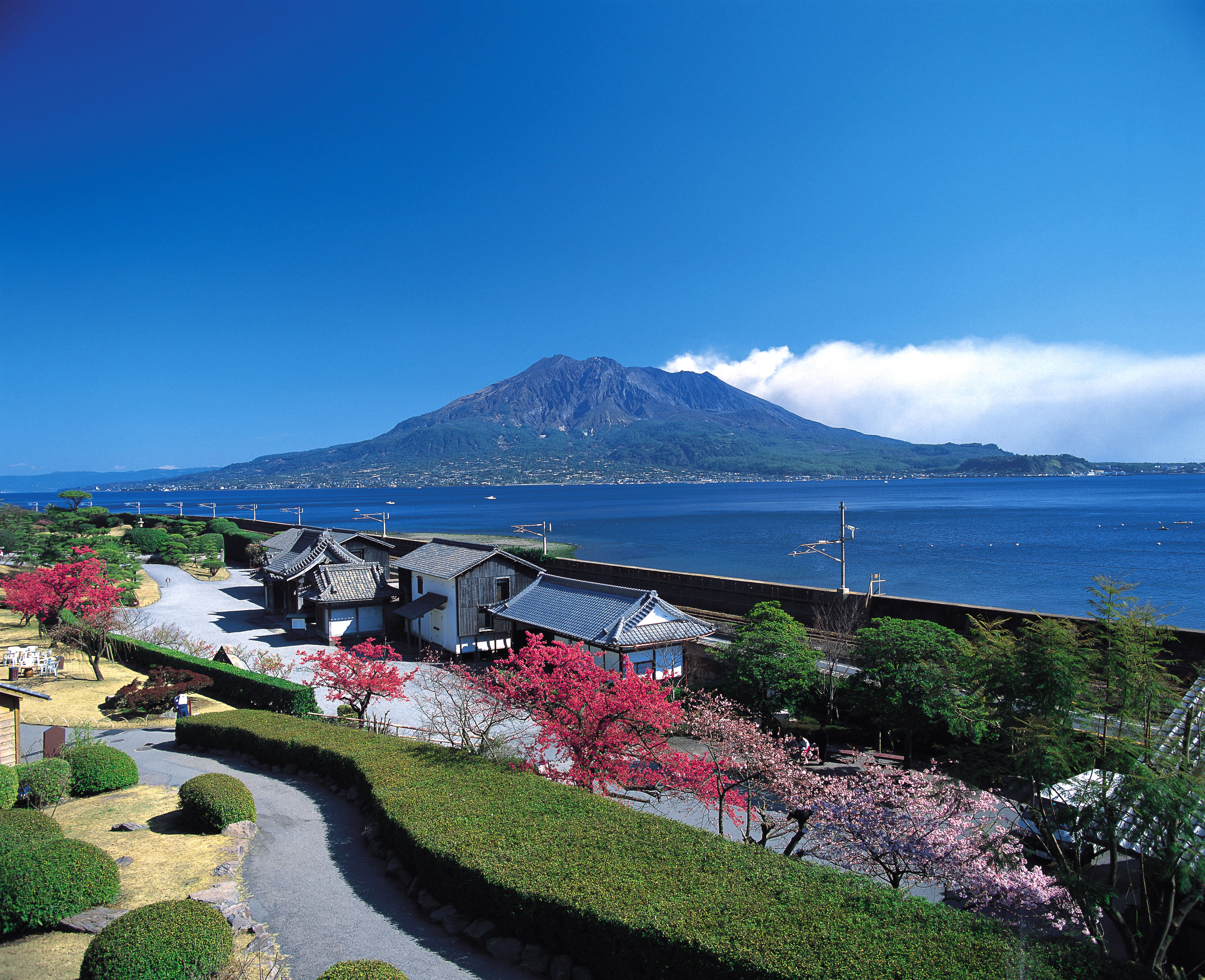 16年11月号 11月1日は本格焼酎の日 鹿児島本格焼酎祭りin東京16 世界の海援隊 16年11月号 11月1日は本格焼酎の日 鹿児島本格焼酎祭りin東京16 世界の海援隊