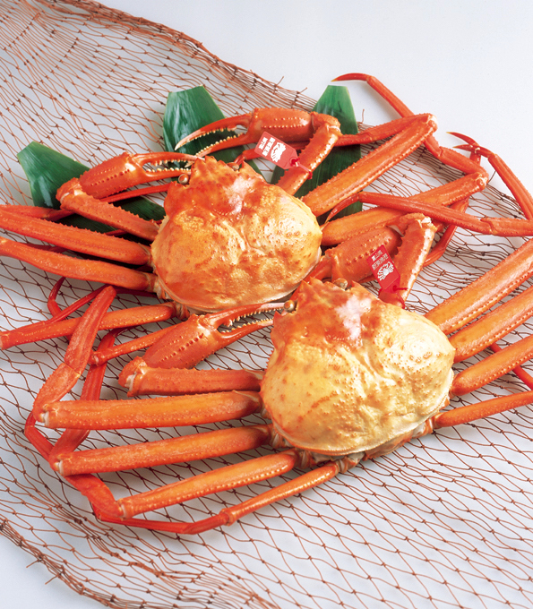 富山が誇る極上『高志の紅ガニ』 – 世界の海援隊